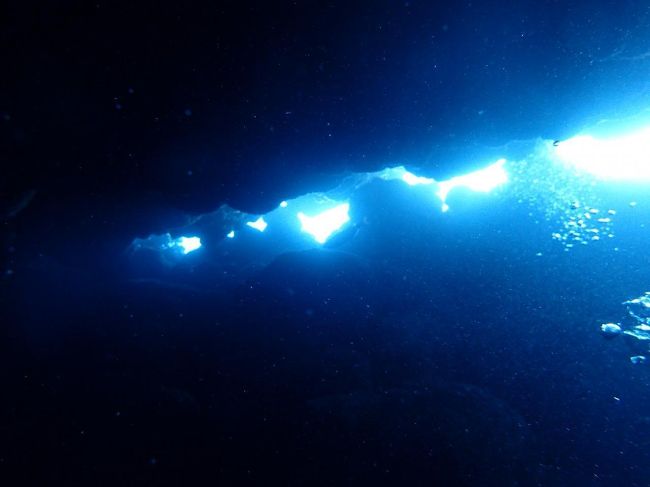 ２つ目のハートも見つけた！