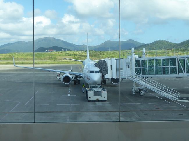 JTA972便。機材はB737-800<br />羽田までの直行便はやっぱり便利！！