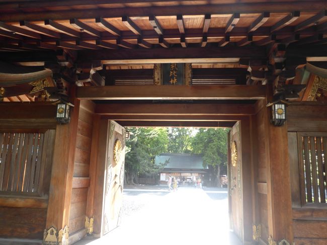 ホテルにチェックイン前に気比神宮へ。<br />越前国一ノ宮の由緒正しき神社です。<br /><br />神社に入った瞬間に光が入り込み、素敵な空気の場所でした。