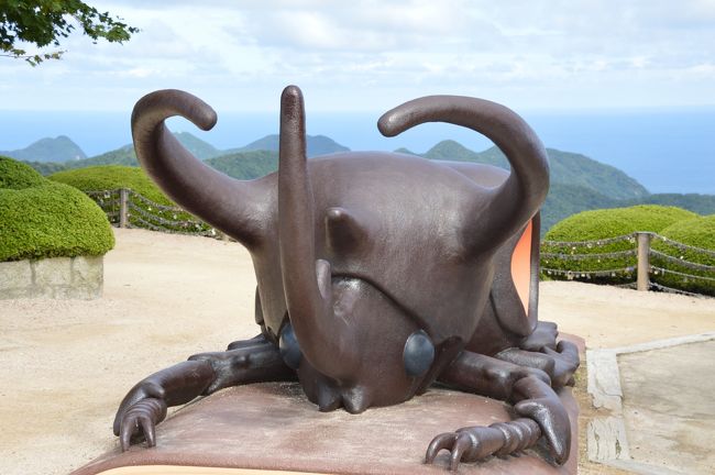 カブトムシの幼虫や成虫を育てているコーナーもありましたよ。