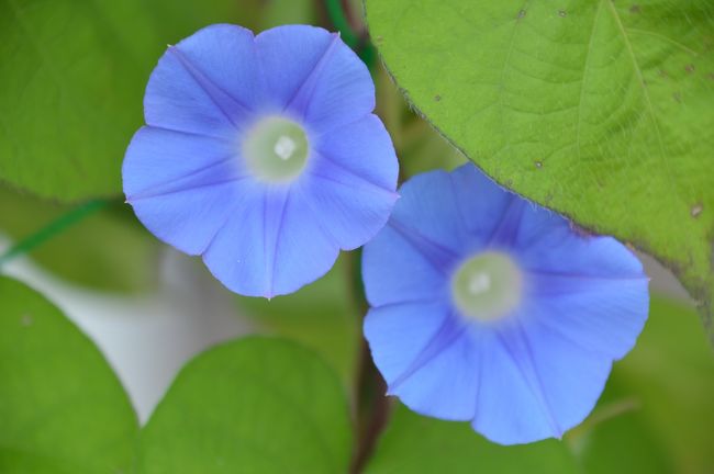 カシャ、カシャ。<br />写真を撮りすぎてしまいました。<br />