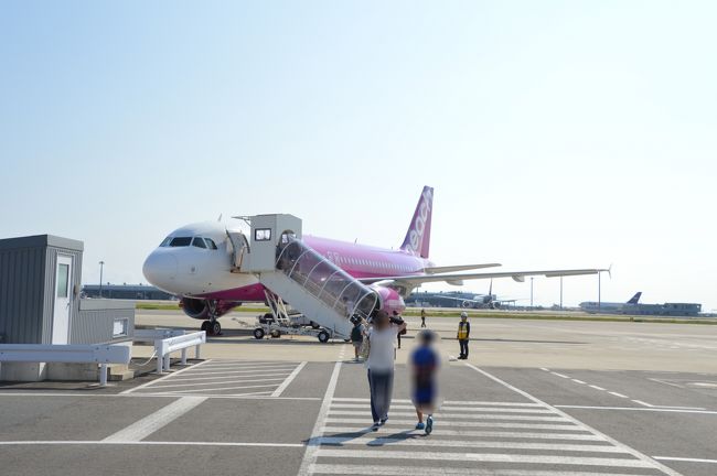 くーも嫁の父が凄いタイミングで心筋梗塞になっちゃったんですね。<br />私が到着した日で、しかも年に1回ほどしかない、私と姉と姉の子供が泊まりに来ている絶妙な日を選んで、父に発作が起こり即手術、即入院でした。<br /><br />母も父も2人なら病院には行かなかったと言ってたので危なかった。<br />もう少し遅かったら手術さえも出来ない状態でした。