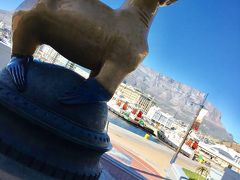 【The Table Bay Hotel/Cape Town】

ここケープタウンでは、やっぱり、ウォーターベイ・フロントがロケーションとしてはベストではないかと。垢抜けているし、アフリカというよりもアメリカの西海岸みたいなモダンな雰囲気。