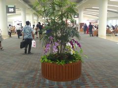 那覇空港につきました。ボーディングブリッジをおりてくるといつも蘭の花が出迎えてくれます。
なんか南国に来た！って感じがして気分が高揚しますね