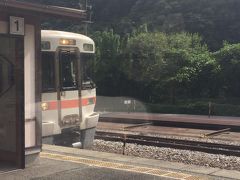 門島駅で対向列車とすれ違いをします。
313系でしたが、どこまで行く列車か見てみると…