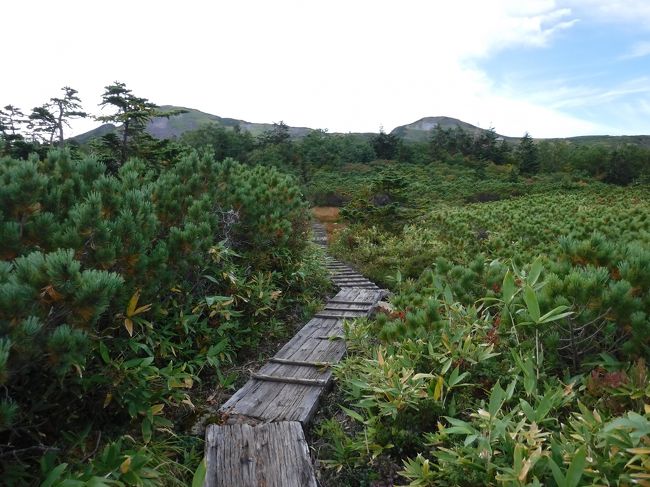 平らになり始めたところで、木道が現れる。<br />しかしおなかも空いて、スピードは一向にあがらない。