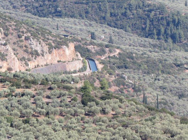 オリーブ畑に囲まれて、「アテネまで続く水路」が見えます。