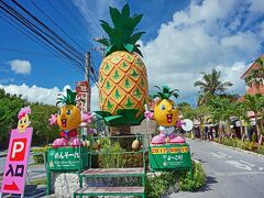 次に向かったのは「名護パイナップルパーク」ｗ
かなりベタで、評判もいまいちな場所ですけど、せっかくなのでｗ