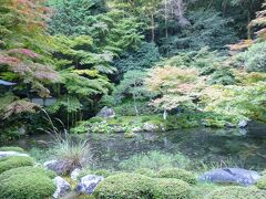 続いて訪れたのは、南禅寺発祥の地、南禅院です。鎌倉時代中期の亀山天皇の離宮に作られた南禅寺発祥の地で、その庭は離宮当時のおもかげを残す夢窓疎石の作庭といわれ、京都で唯一の鎌倉時代の名園です。

今回の旅でたくさんの庭園を巡ったのですが、私はこちらが一番気に入りました。池泉回遊式庭園で、どの角度からみても美しく、幽玄な雰囲気を醸し出していて、心が穏やかになりました。

また行って、庭を見ながらぼーっと過ごしたいです。