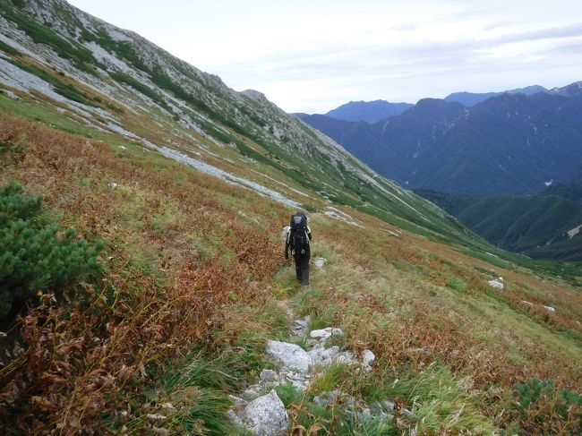 しかし悲しいことに雷鳥とお別れしてから、少し進んだところに<br />雷鳥の尾羽だけが落ちていました。<br />だぶん外敵に襲われたんだろう。<br />さっきの雷鳥の子供の一羽ではないだろうか。<br />雷鳥にしては親鳥がかなり警戒していた・・・