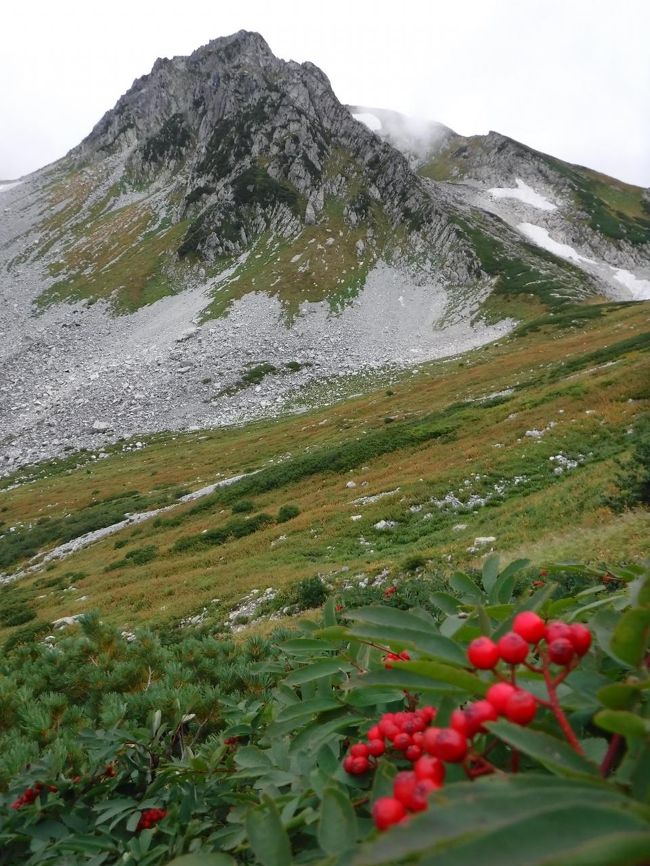 このトラバース道はなかなかいい道です。<br />東一の越までは・・<br />その先は下りが続きます。