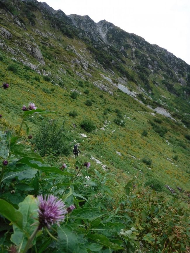 タンボ平に向かうこの道もいい雰囲気。
