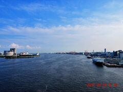 そして品川ふ頭の対岸にはホテル日航と船の科学館も望めました。