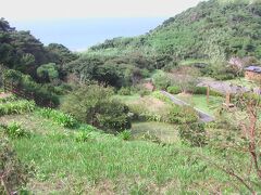 四季咲崎公園（常緑照葉樹に覆われた岬です。）