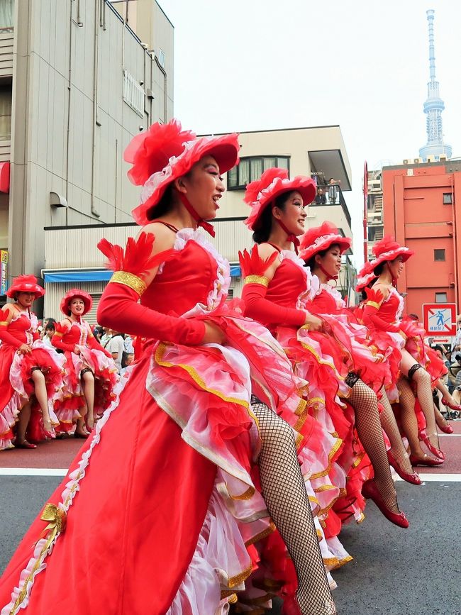 浅草サンバ36-36 S1（8) G.R.E.S.仲見世バルバロス D《東京/浅草