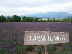 次はラベンダーの聖地
『ファーム富田』