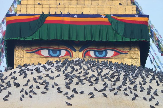 世界で一番でっかい仏塔なんだってよ。