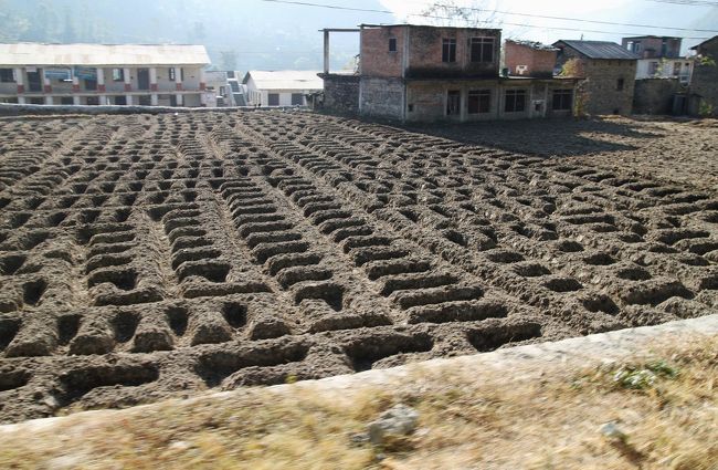 平地に降りて来ると・・・といっても標高は1400mはある・・・立派な家も増え畑もよく手入れされている。って、この畑、不思議な耕し方。