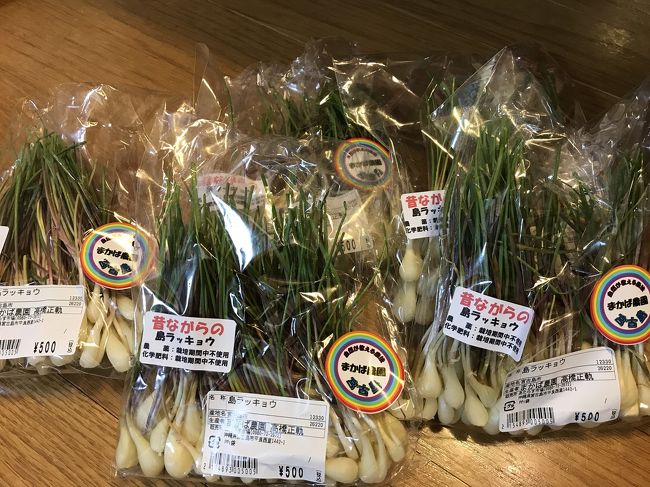 最後の最後で見つけた<br /><br />宮古島産『島らっきょ』<br /><br />下の方は塩漬けで…上の方は天ぷらに…余すところ無くいただきました。<br />