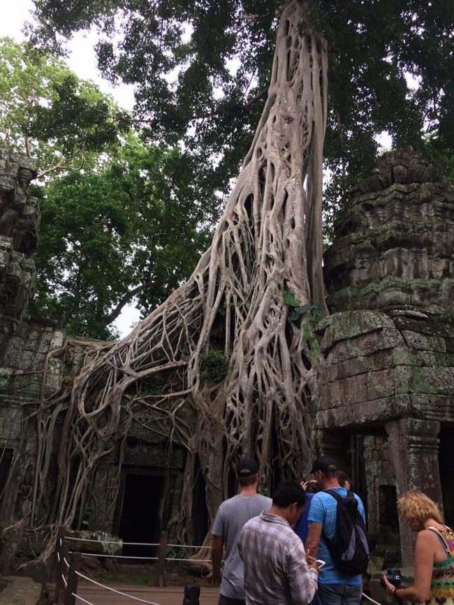 アンコールワットの何倍も雰囲気が良い