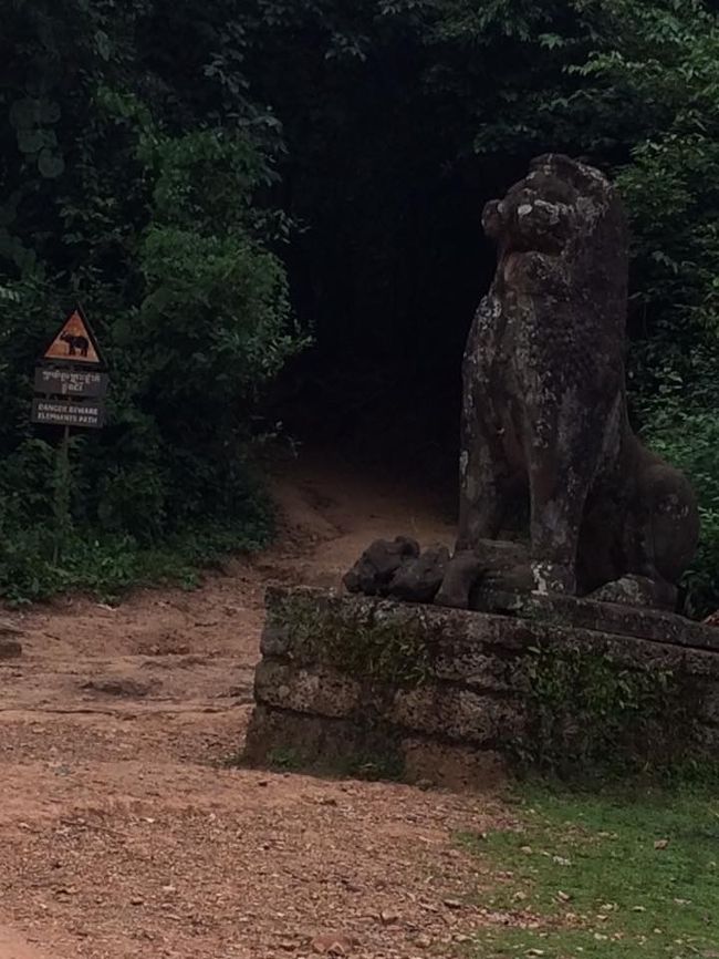 危険なので進入禁止の象専用道