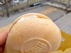 呉に着き、小腹が空いたので駅で巴屋さんのアイスモナカ(ミルク味)を食べました。最中がパリパリで中のミルクアイスが喉越しの良いさっぱりシンプルな甘さですっごく美味しかったです！お店の方もとても感じの良い人で冷たいアイスなのにあったかい気持ちになりながら次の目的地へと向かいました^_^