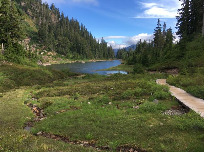 陽は射さないが美しい景色．