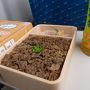 家族で名古屋・鳥羽・伊勢の旅　①