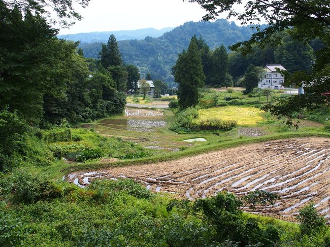 十日町市 棚田巡りとアートの旅 帰りは 越乃shu Kuraで呑みまくり 十日町 津南 新潟県 の旅行記 ブログ By みささん フォートラベル