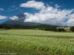 　9月18日　
　以前から気になっていた裾野市北部の富士山の南側に広がる蕎麦の段々畑。ちょうど蕎麦が白い清楚な花を付ける時期なので、ここで蕎麦の花畑と富士山、特に早朝の赤富士や、星空と富士山のコラボ写真をぜひ撮りたいと勇んでやって来たのである。
　朝、自宅を出発し昼前には御殿場に到着。山中湖ロッジにチェックインする前に、まずは下見をしておこう。