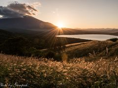 　いつものように夕食前に定点撮影ポイントにしているパノラマ台と三国峠の中間付近の路肩に車を停め、富士山夕景撮影。残念ながら頂上付近には雲が掛かったまま。一面に広がるススキが夕日で朱に染まってきた。