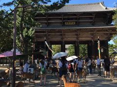 春日大社の出口？道まで戻ってから東大寺まで、徒歩15分くらいかなぁ、わりとすぐですが、東大寺のエリアが広い！
たくさんのバスが止まってて、参道にもたくさん鹿がいます。写真は南大門。鎌倉時代の再建だそうですが、かなり古い感じがします。