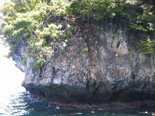 よく見ると岸壁の窪みに猿がいる。「ウォーリーを探せ」状態・笑