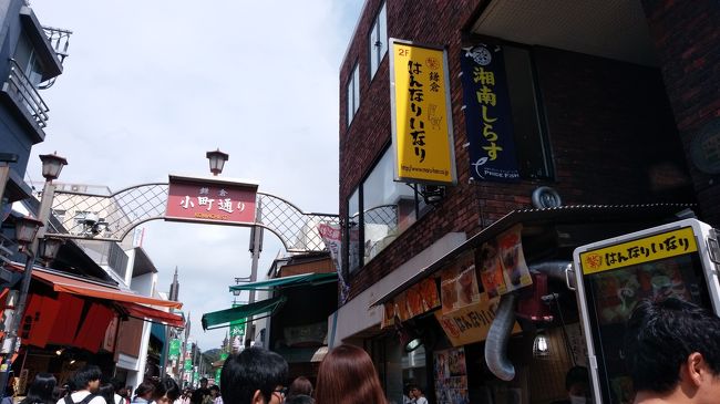 噂のいなり食べたい(〃ω〃)