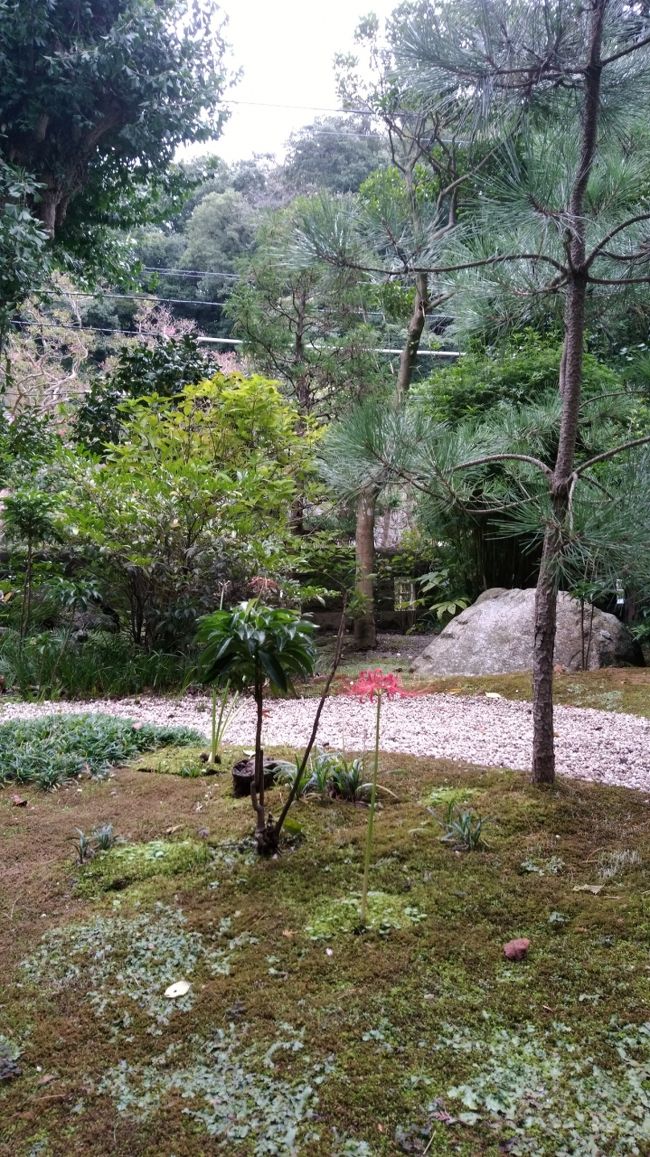 いろいろ寄り道しましたが、<br /><br />目的地は<br />「報国寺」さん(^^)