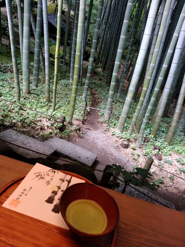 こんな感じです☆