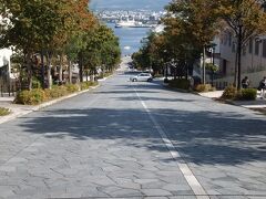 函館元町地区で、テレビＣＭ等によく利用されている「八幡坂」です、直線で下には函館湾が見えます。