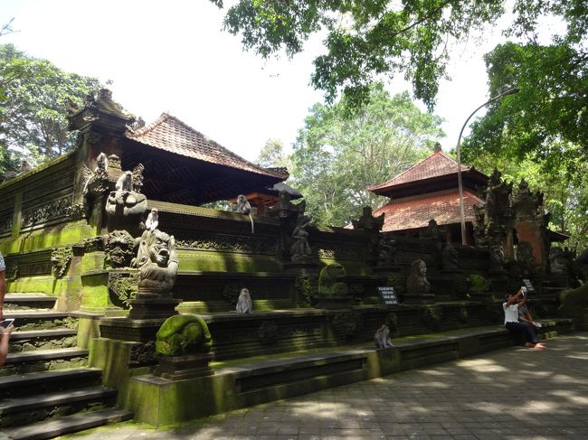 バリのヒンドゥー教では、<br /><br />猿は神聖な生き物とされているそうです