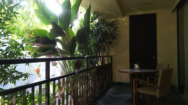 陽が差して気持ちが良いですが、バルコニー前の植栽の向こうはすぐに隣りの敷地との仕切りの壁が立っています。目の前に植物がそびえてるので壁の存在感はあまり感じません。