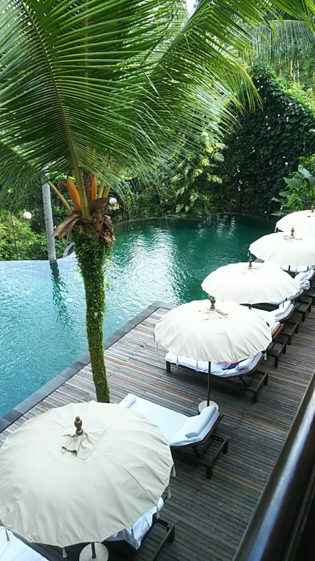 すぐ下にプール。小さめですが、このホテルのロケーション的にも泳ぐ人は少ない様子でした。