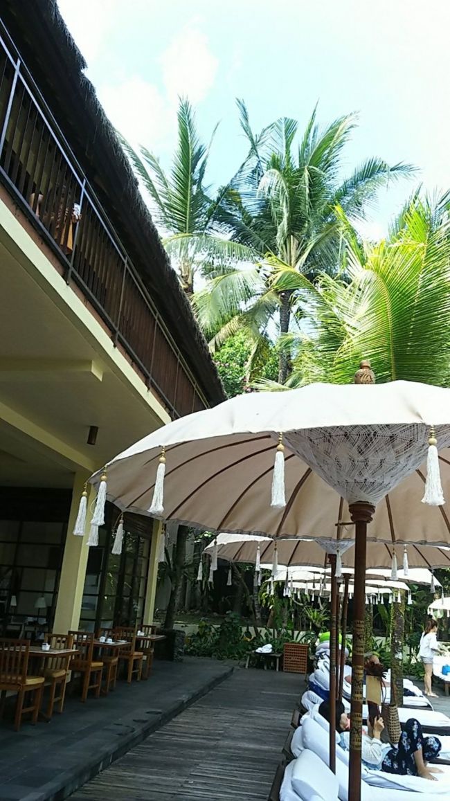 朝食を終え、下に降りてみました。