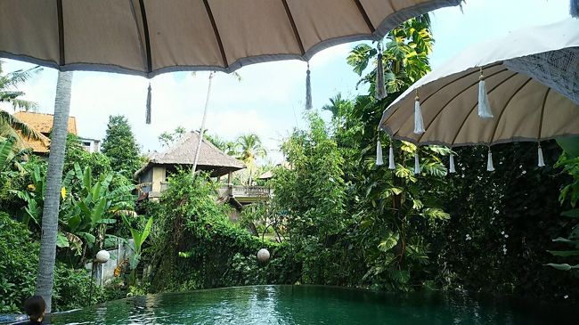 木々の向こうはどのホテルだったんだろ。カジャネ・ムア？