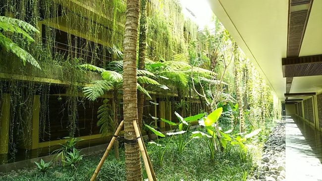 ホテル建物はコの字型のようになっていて、棟と棟のあいだのグリーンが綺麗でした。