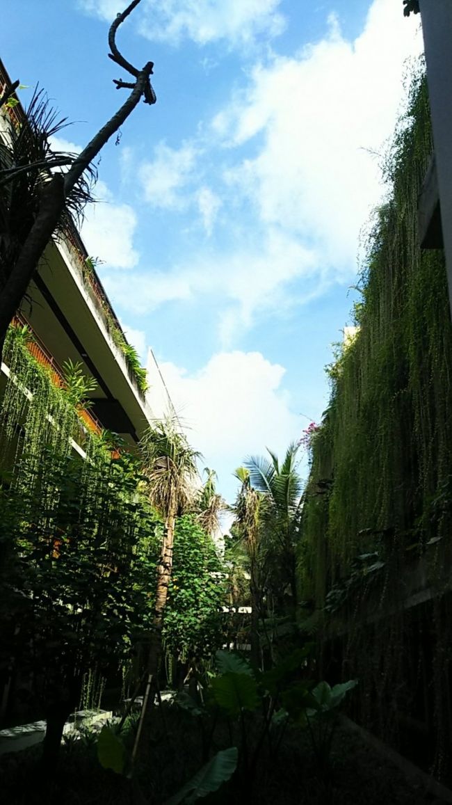 空が高いなぁ～。気持ち良く晴れて嬉しい♪