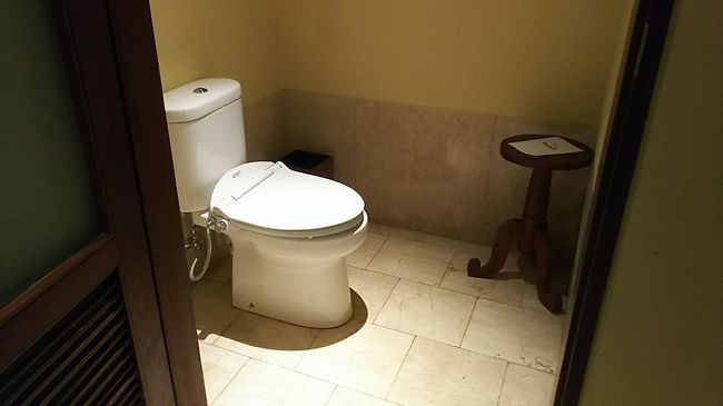 お手洗いも個室になってるので使いやすい。<br /><br />今回、いろんなホテルを比較検討したのですが<br />バスルームやトイレが屋外（半屋外とか）だというホテルは外しました。<br />虫の問題もあるし、夜遅くに使用することを考えるとやはり屋内の方が。