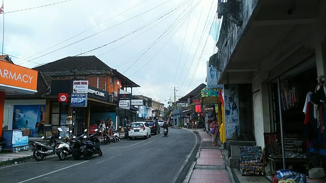 JI.Monky Forestをじゃらんじゃらんします。