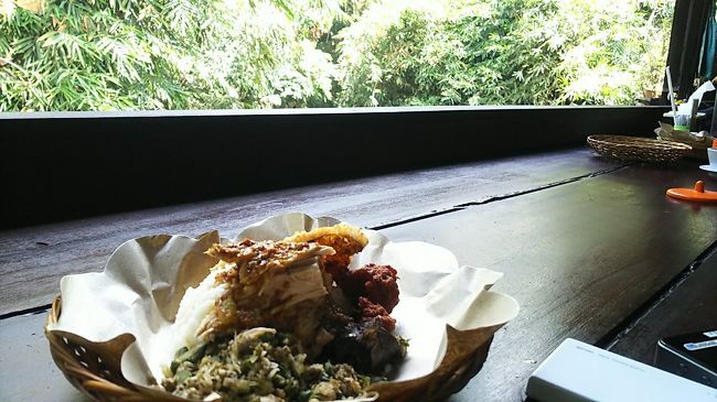 わりと広い店内。外を眺めながら食事できるカウンター席もあります。