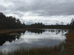 エストニアのラヘマー国立公園。マナーハウスに泊まり、バルト海のフィンランド湾に浮かぶ白鳥の群れに驚き、ヴィル湿原を散策。