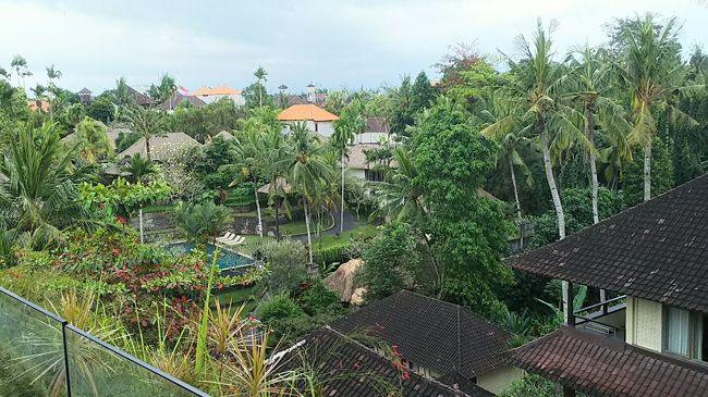 通りからちょっと奥まってるだけなのにとても落ち着いた雰囲気です。<br />こういう感じで泊まれるなら、ずっとウブド市街地にステイするのもアリだなぁと思いました。