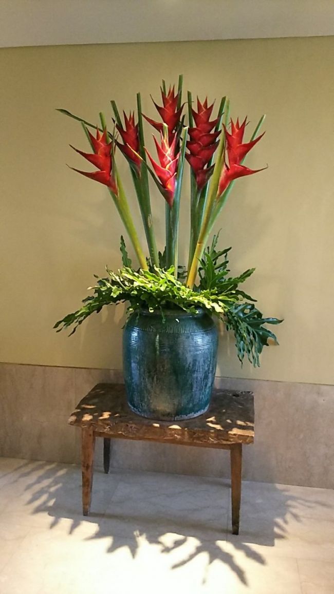 スパ内、廊下の両脇に施術ルームがあって廊下突き当りには綺麗にお花が飾られてました♪とても良い雰囲気でわくわく～(^O^)